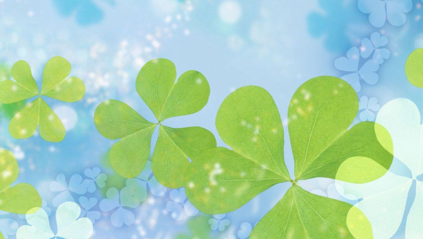 Wallpapers For > Four Leaf Clover Wallpaper Backgrounds