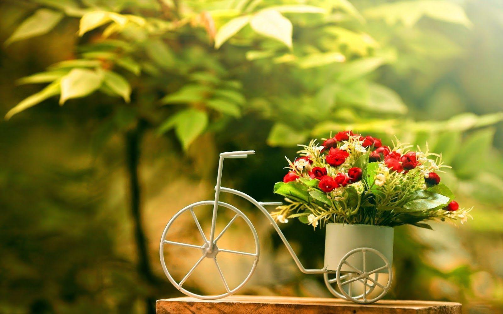 Bicycle With Flower Wallpaper Photo 2014 2015 Charming