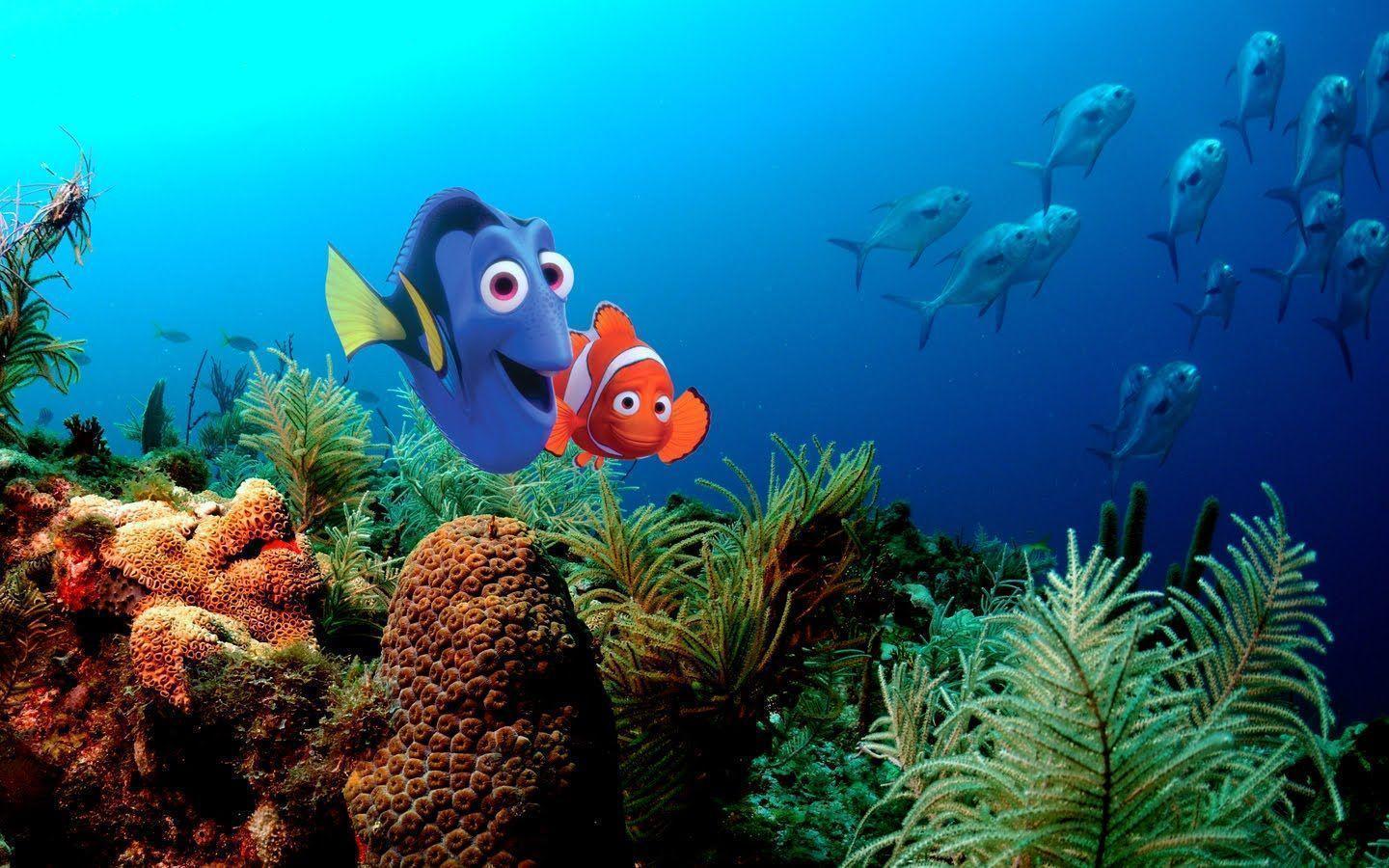 Finding Nemo Wallpapers - Wallpaper Cave