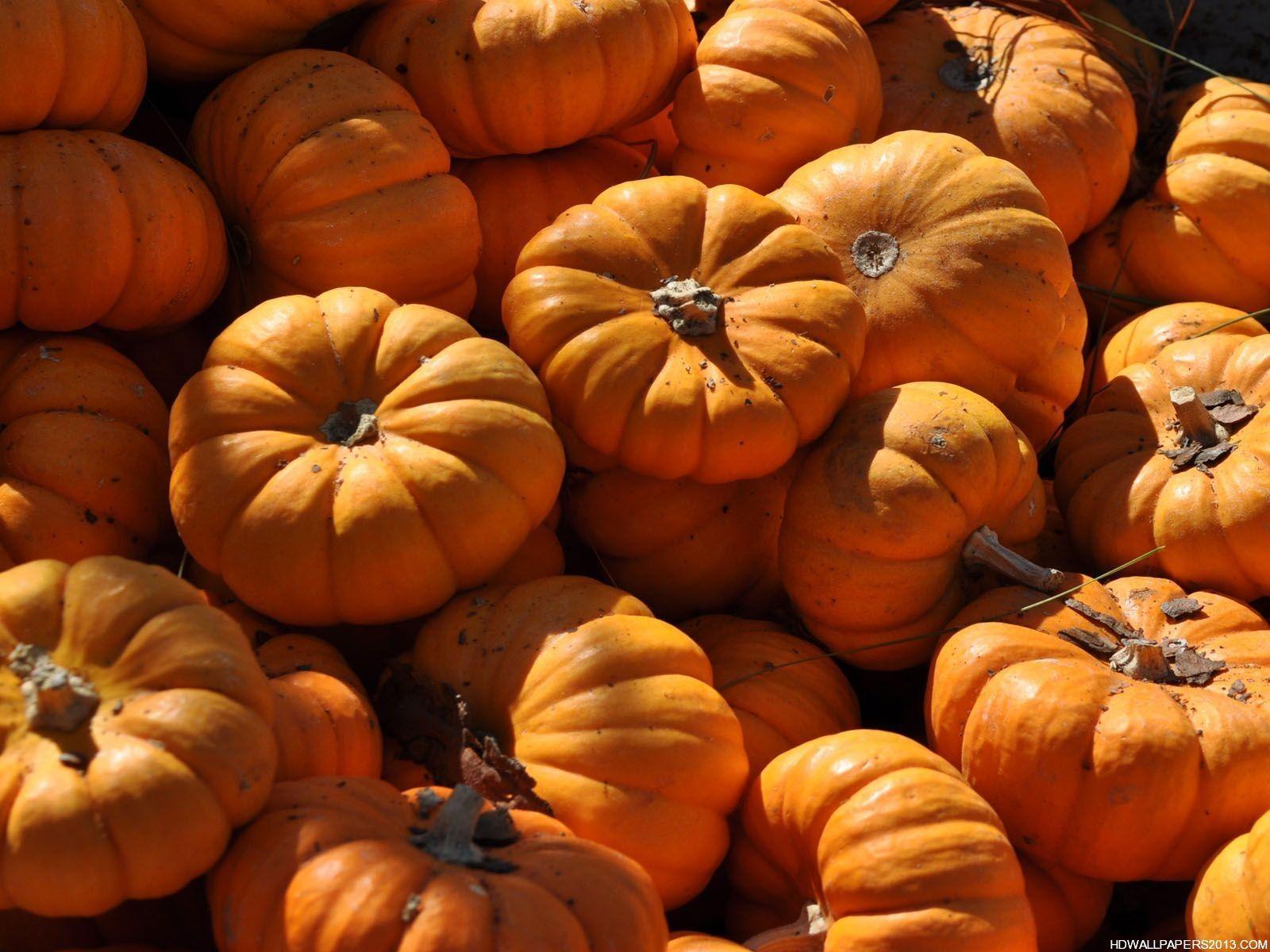 Autumn Mountain Wallpaper Background 46407 HD Picture. Top