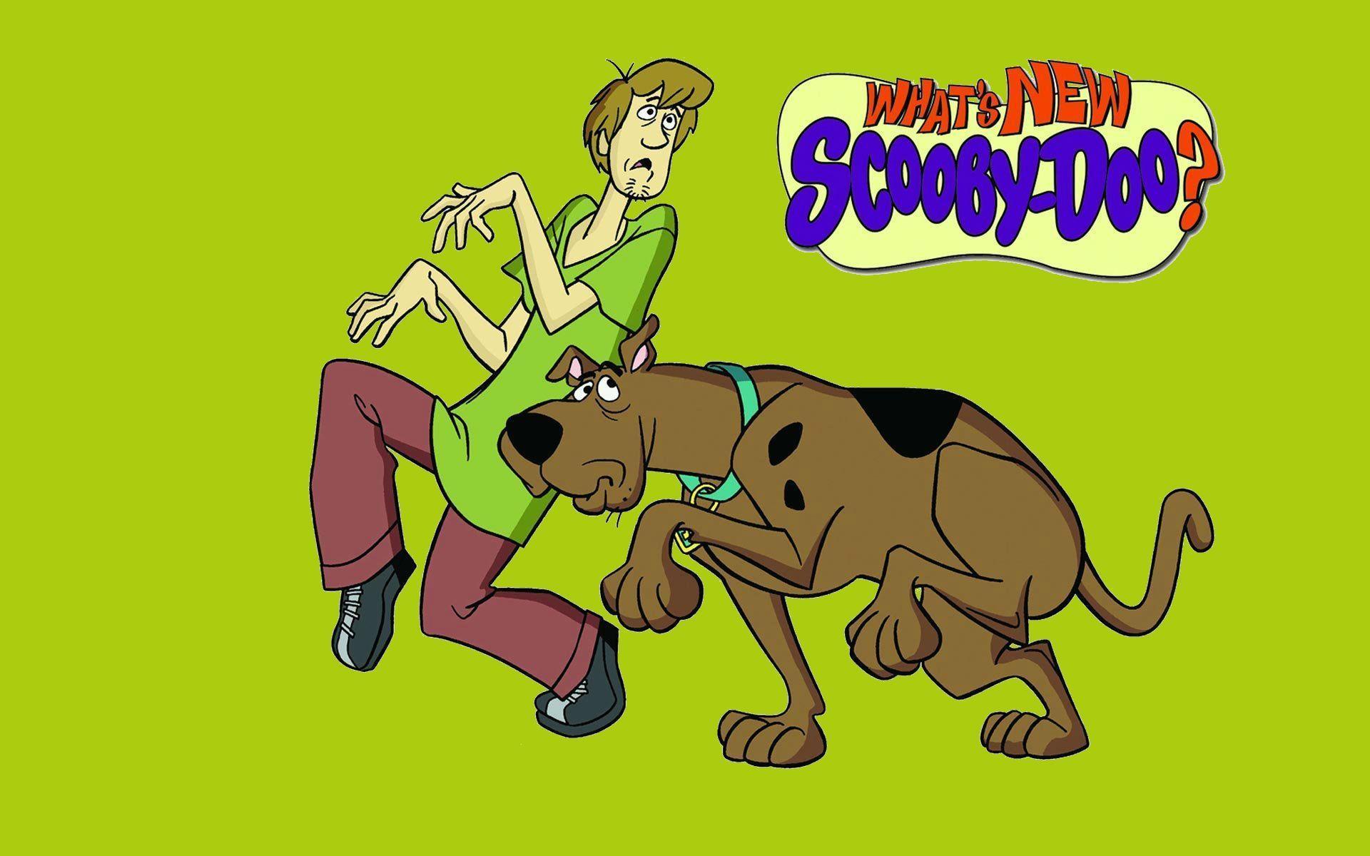 Shaggy Scooby Doo Wallpaper