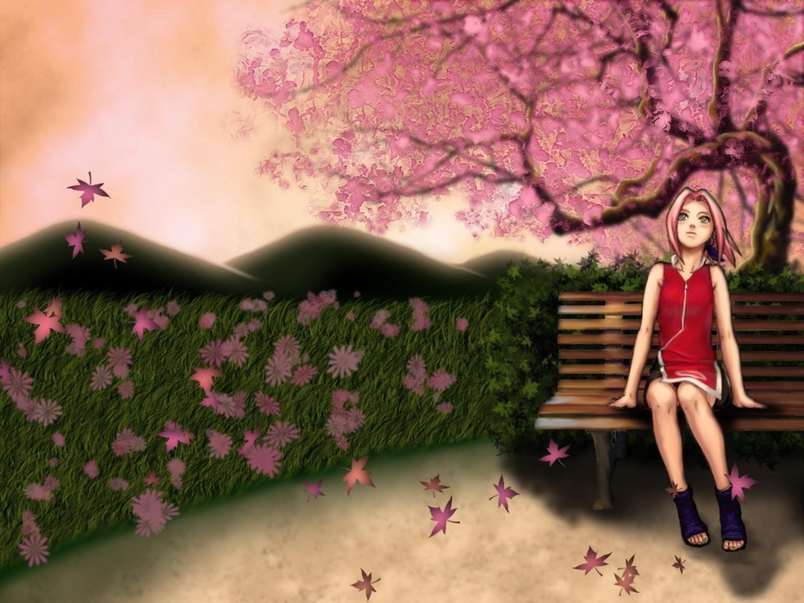 Sakura Wallpaper Picture