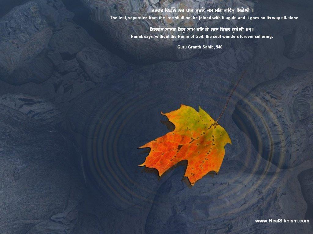 Wallpaper > Sikhism Wallpaper and Desktop Background