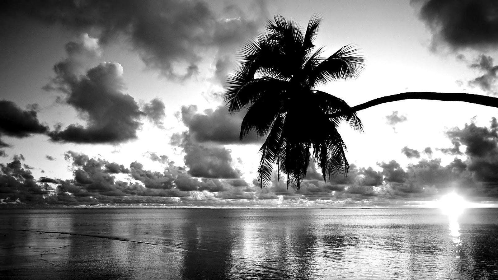 Black And White Sunset Wallpapers