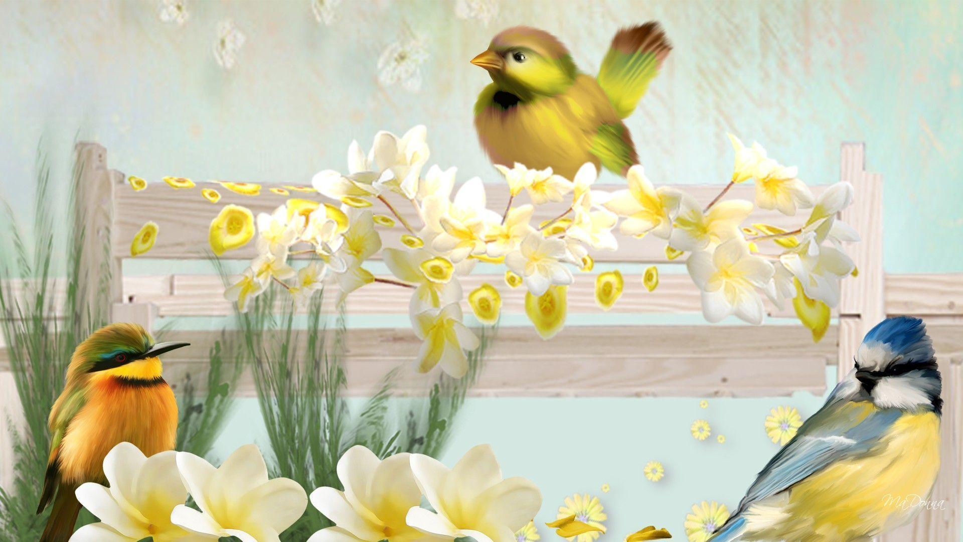 HD Frangipani Friends Wallpaper