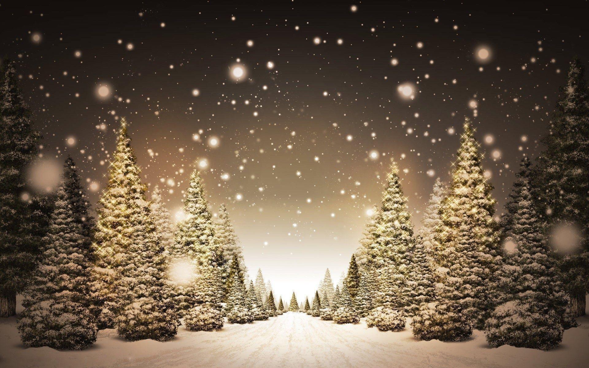 Download Winter Night 13351 1920x1200 px High Resolution Wallpapers