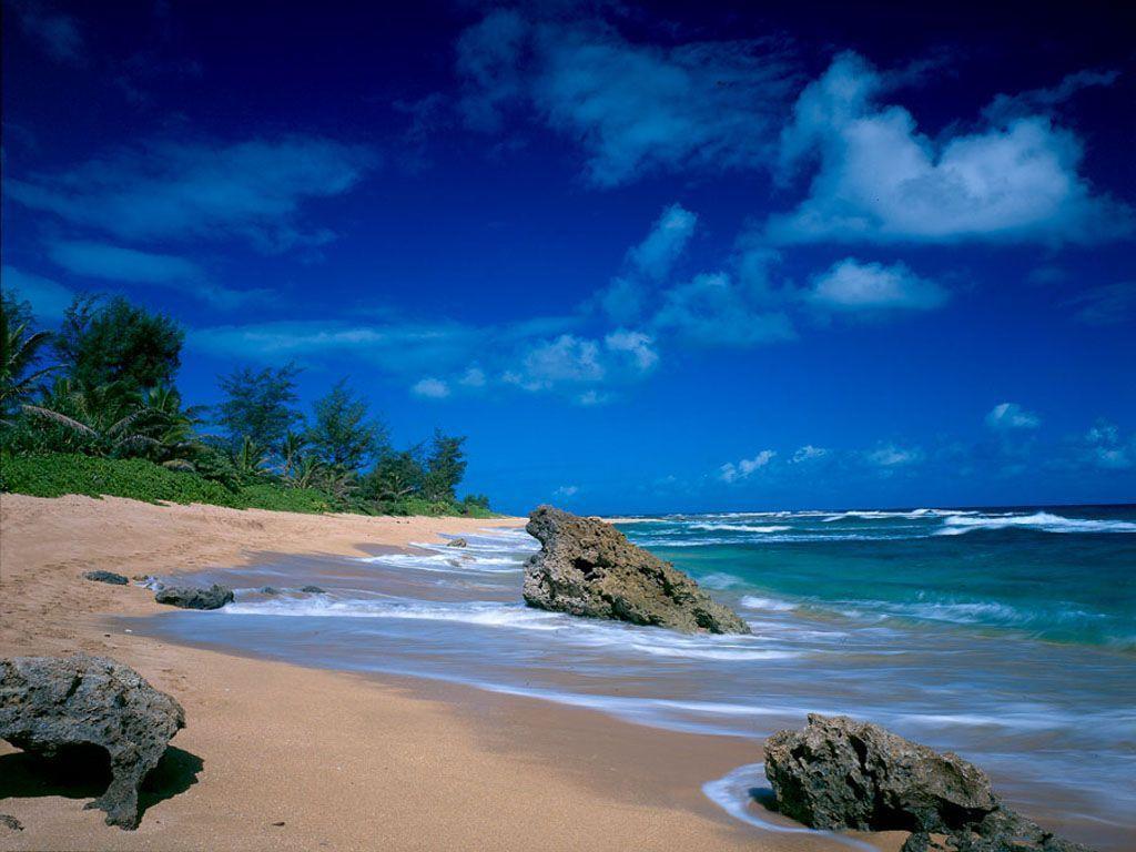 Tropical Beach Wallpaper. Piccry.com: Picture Idea Gallery
