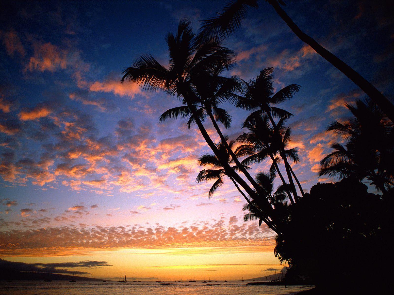 The World Visit Hawaii Beach Sunset Travel Wallpaper