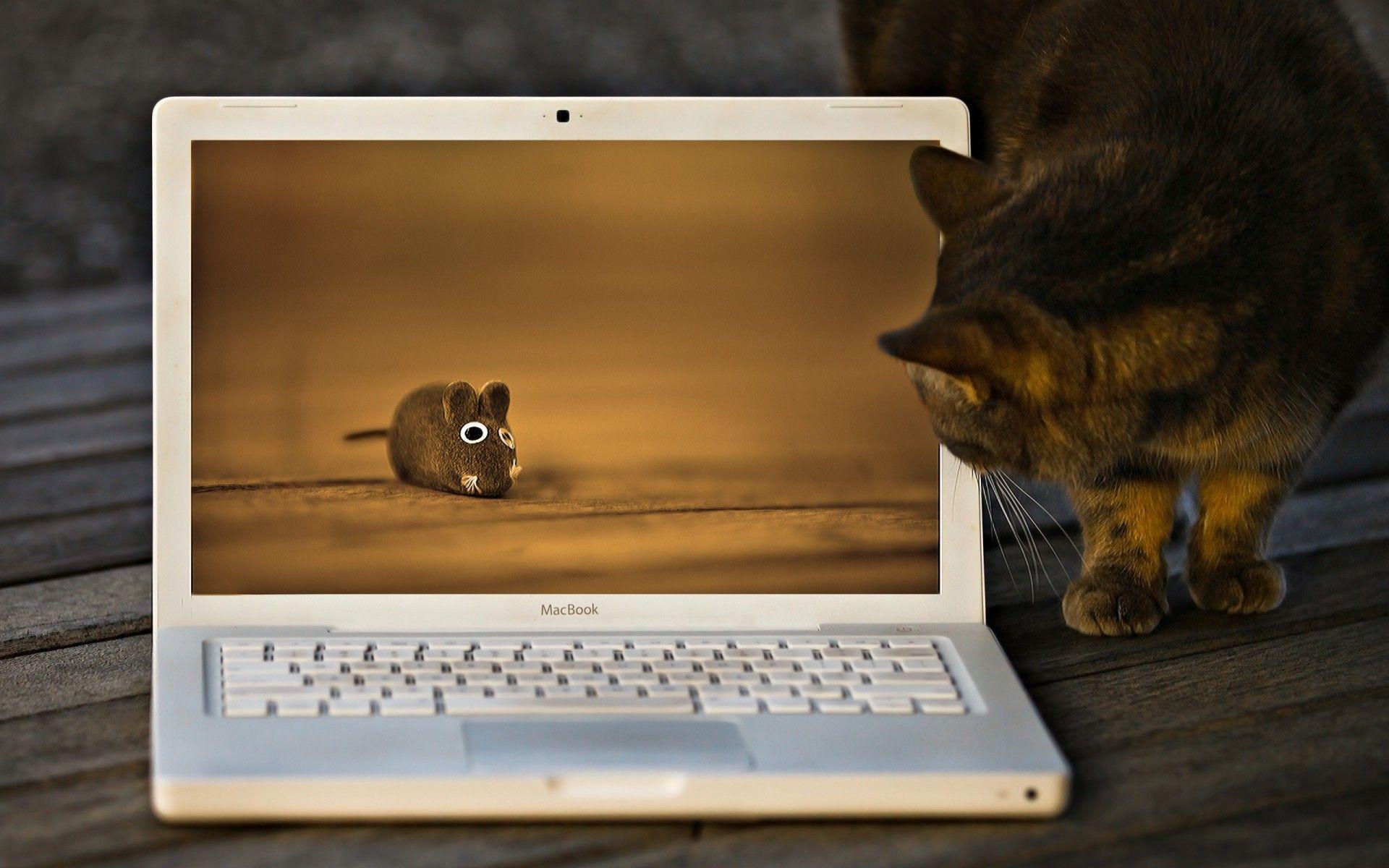 Funny Laptop Wallpapers - Wallpaper Cave