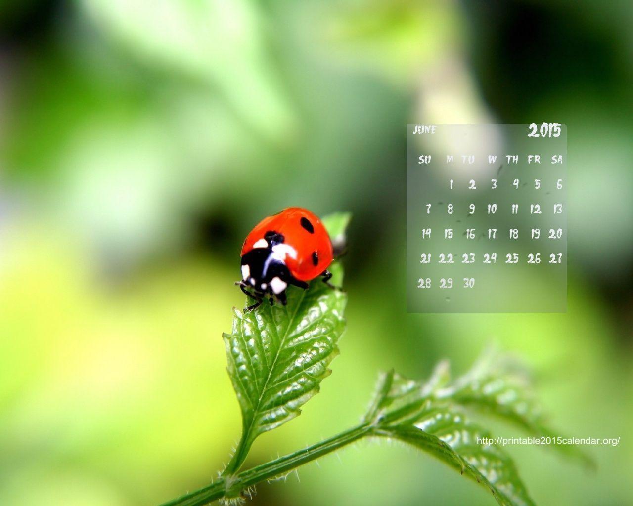 Free 2015 Monthly Calendar Wallpaper Calendar