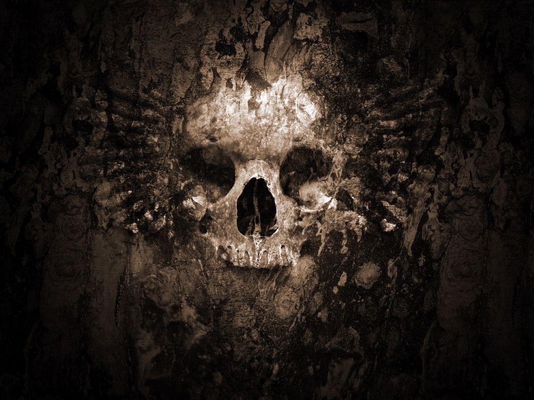 Fossilized Skull / Horror / Desktop HD, iPhone, iPad Wallpaper