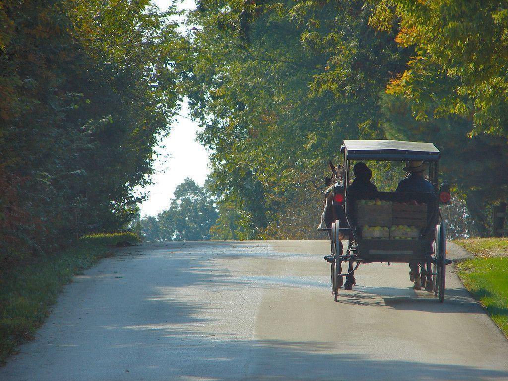The Amish