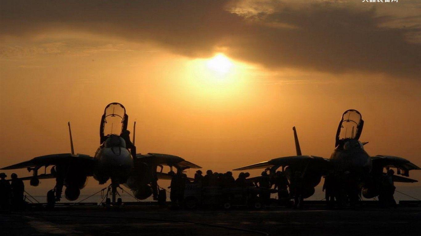 U.S. Navy F14 Tomcat fighter Wallpaper Download