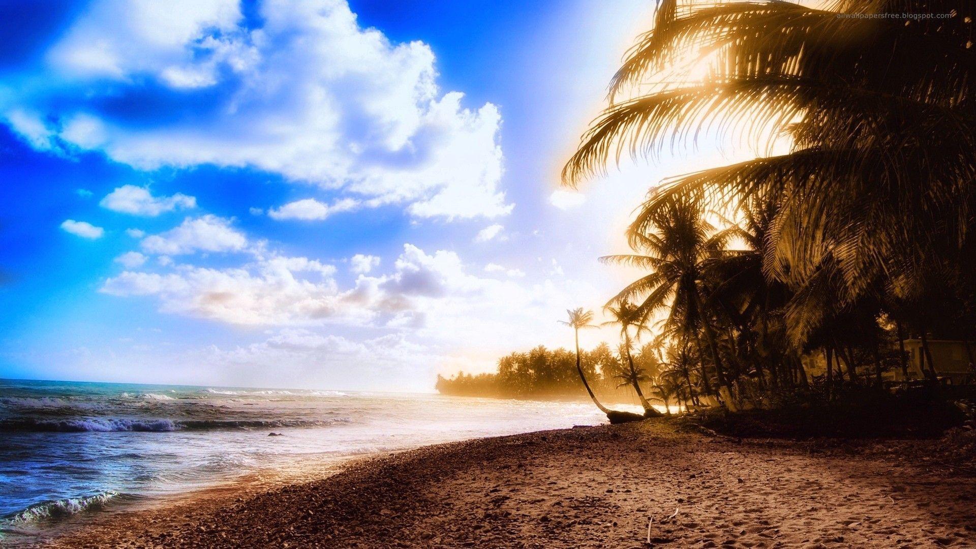 Tropical Sunrise Picture HD Wallpaper Desktop