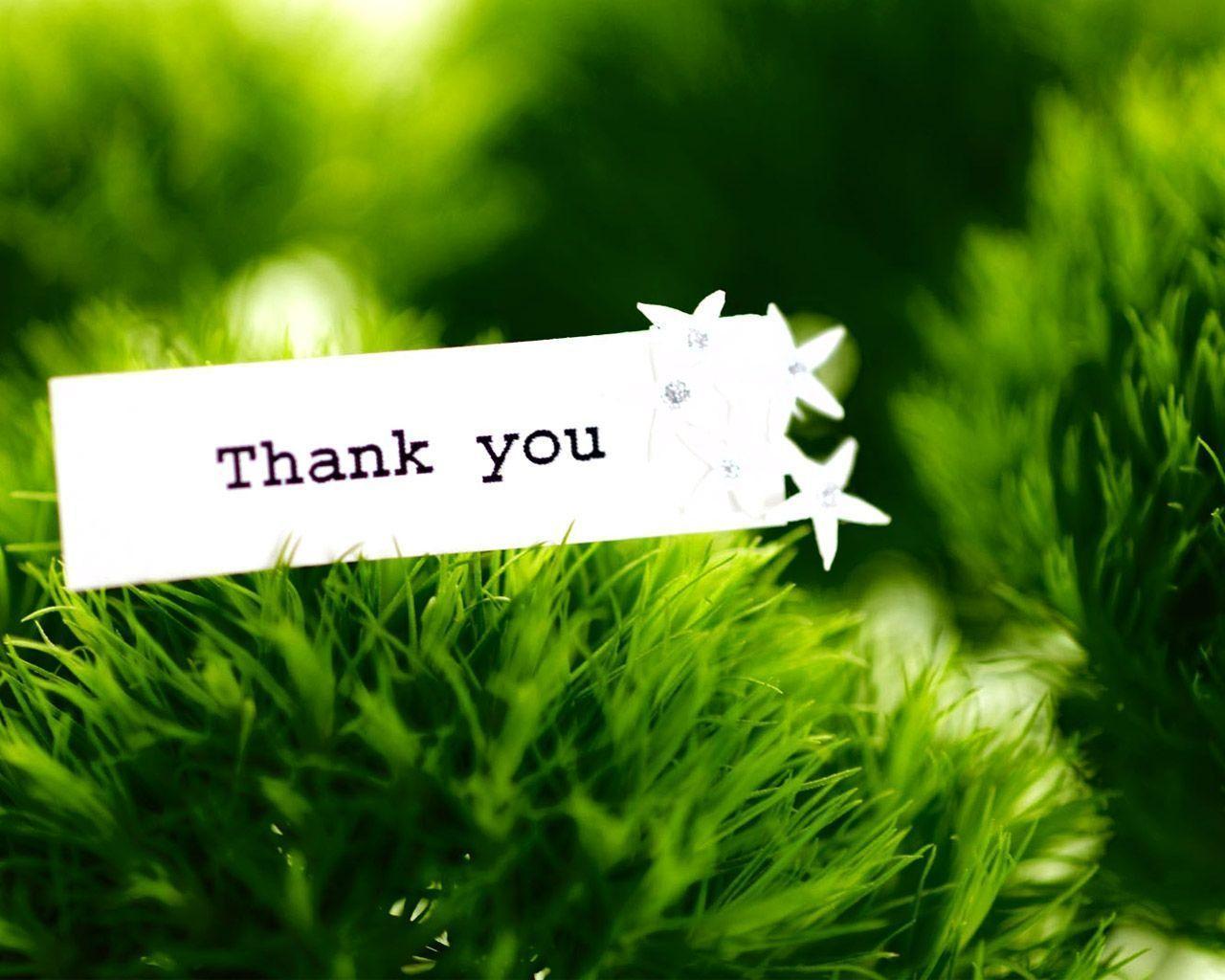 Thank You Wallpapers - Wallpaper Cave