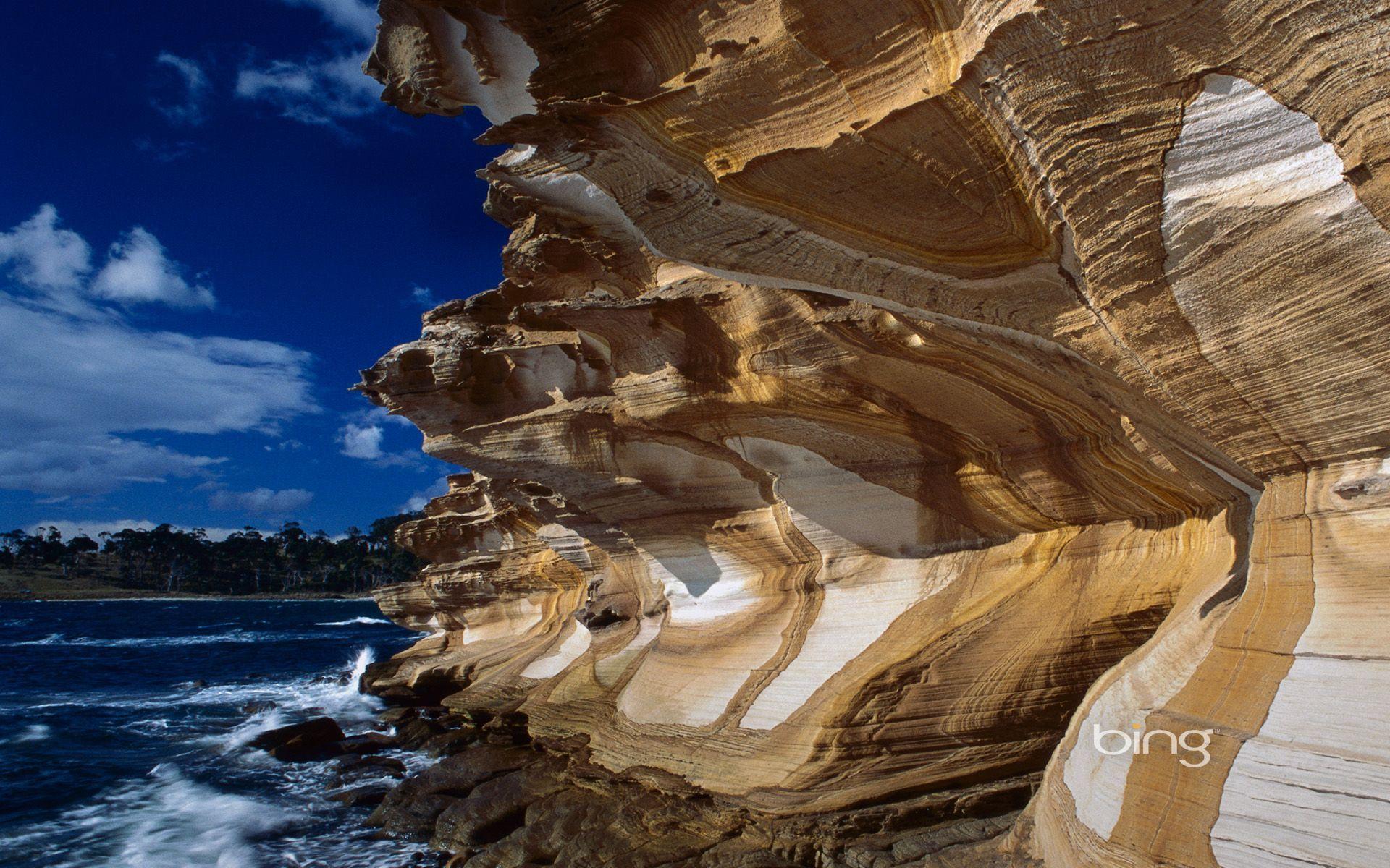 Best Of Bing Australia Landmarks & Animals Wallpaper
