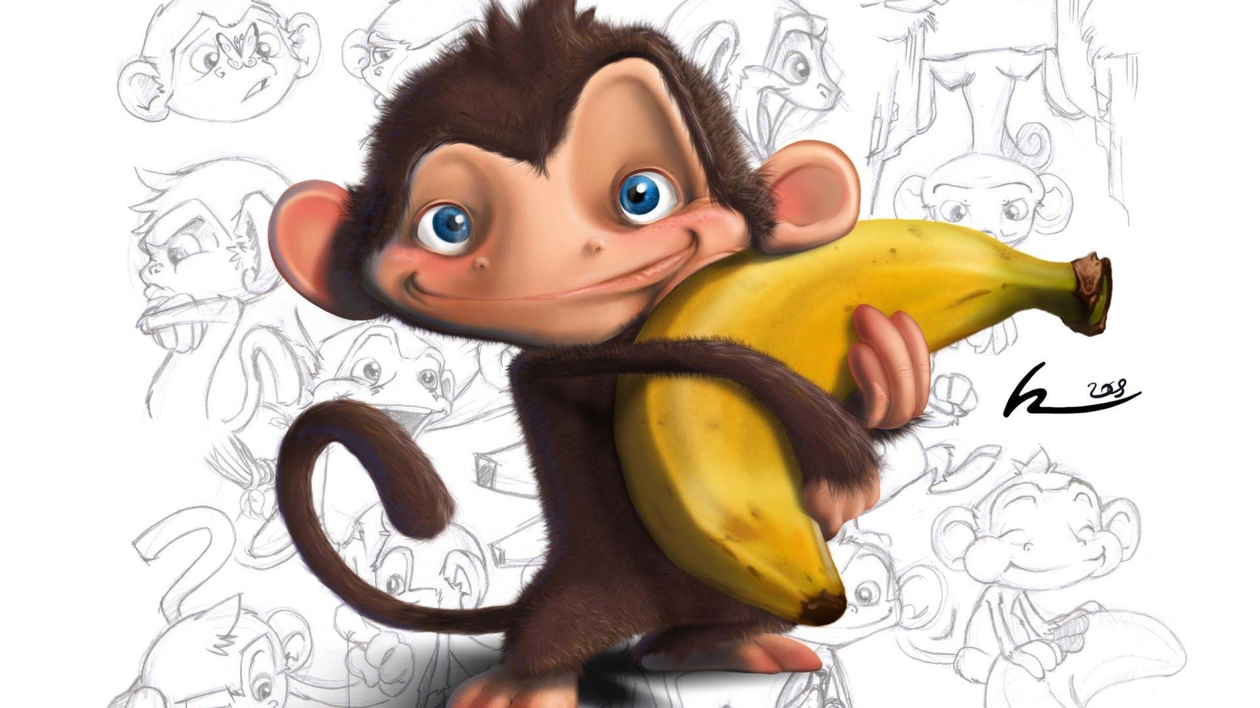 Memes For > Funny Monkey Cartoon Wallpaper