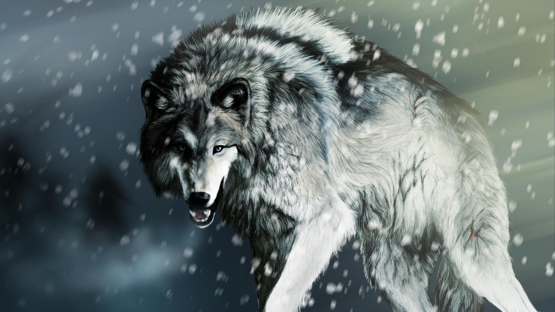 White Wolf wallpaper