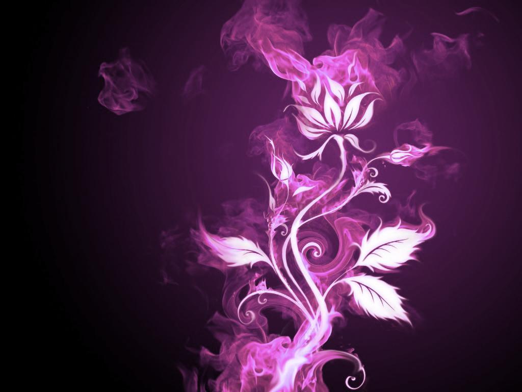 image For > Magenta Flower Wallpaper