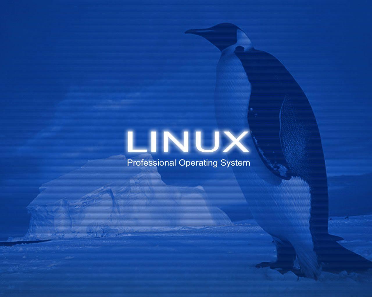 Download Best Linux Pro Professional Operating System Wallpaper
