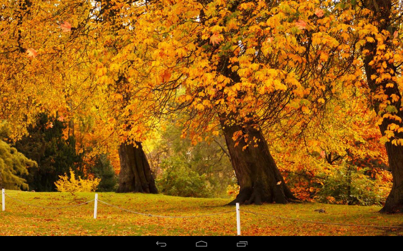 Autumn Wallpaper Apps on Google Play