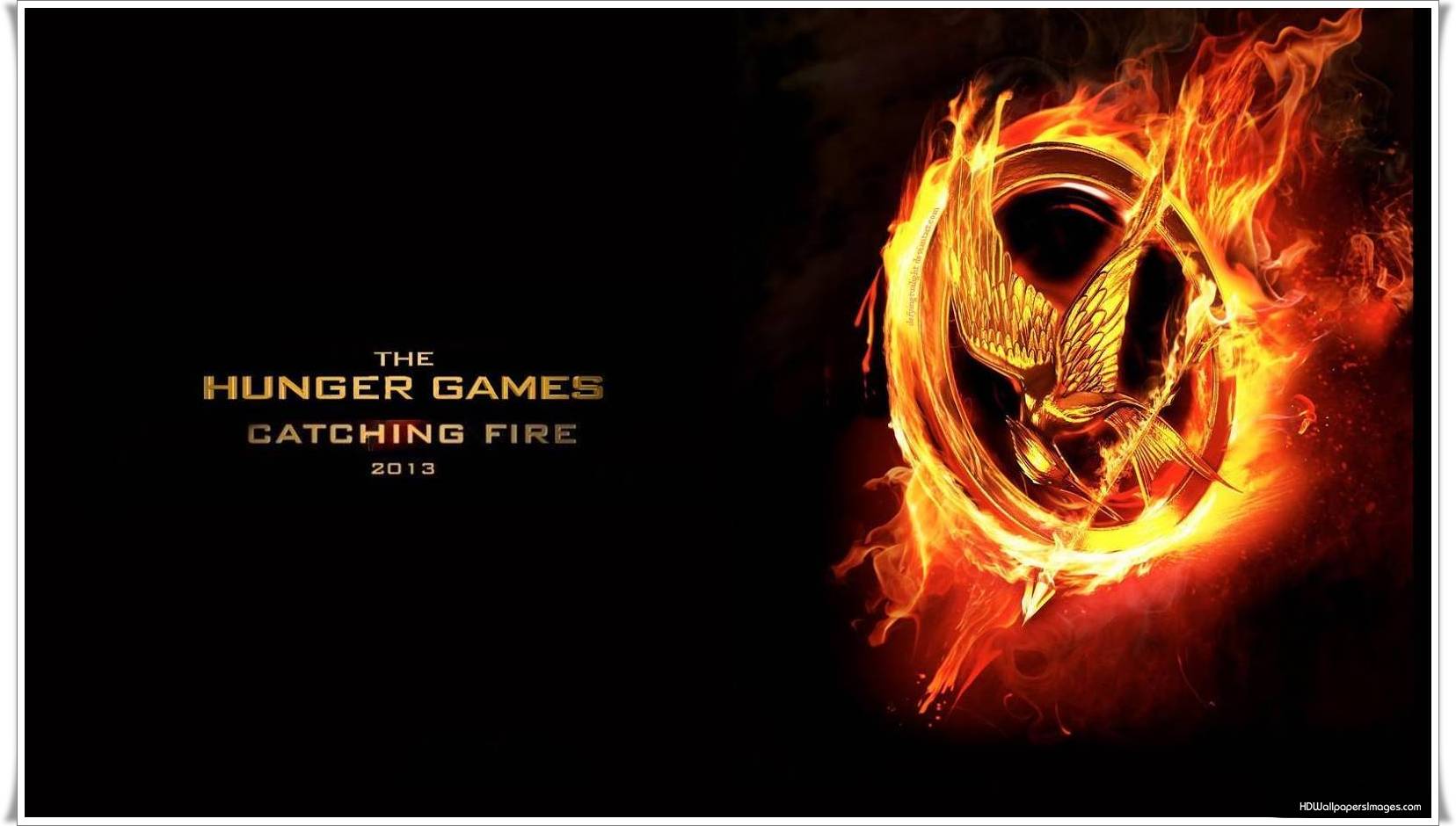 The Hunger Games Catching Fire Wallpaper HD Background 8 HD