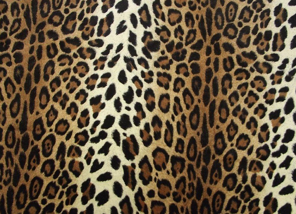 Gallery For > Cheetah Print HD