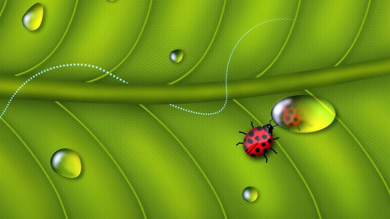 Desktop Wallpaper · Gallery · HD Notebook · Insect laptop