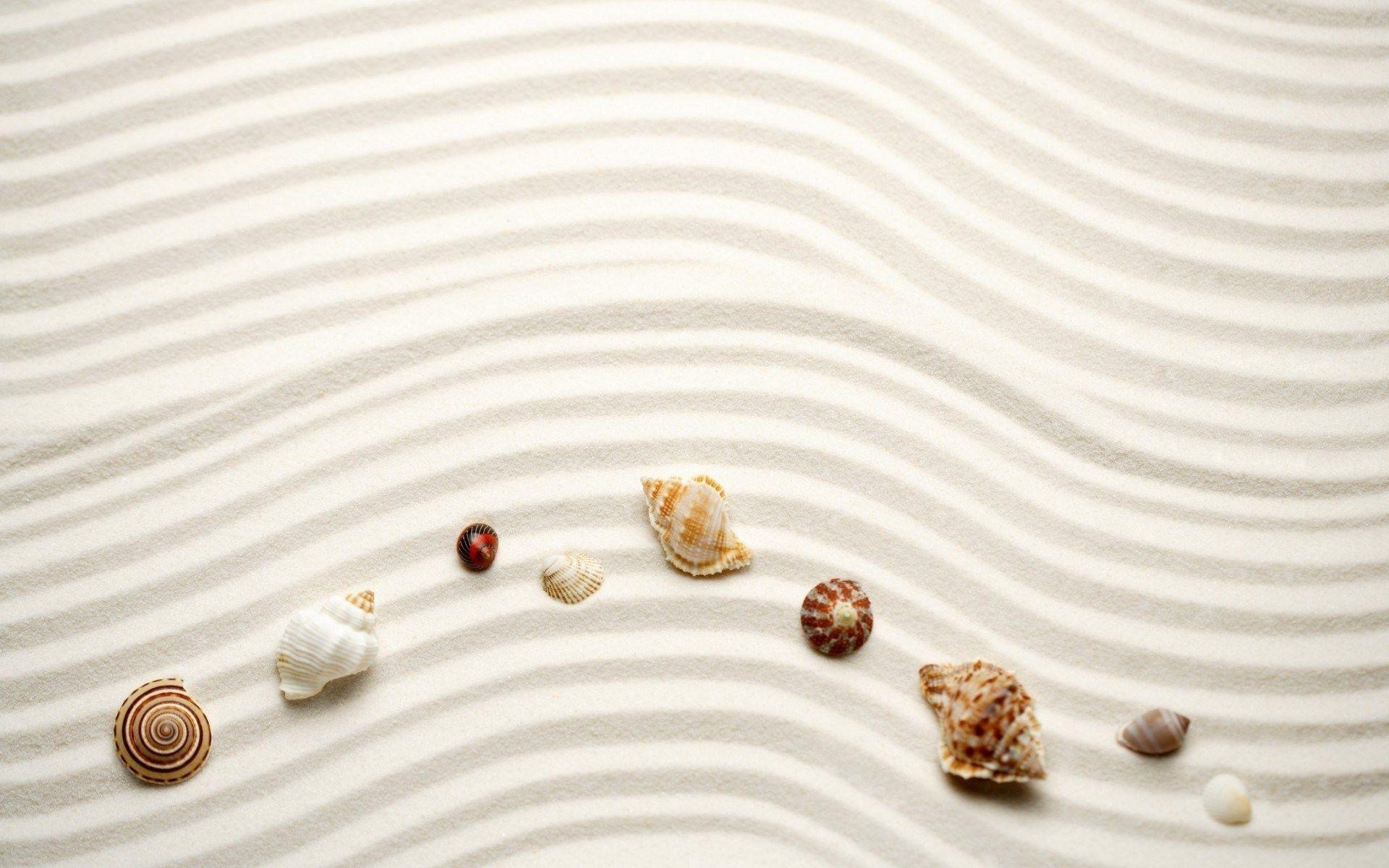 Nature Beach Sand Shells HD Wallpaper