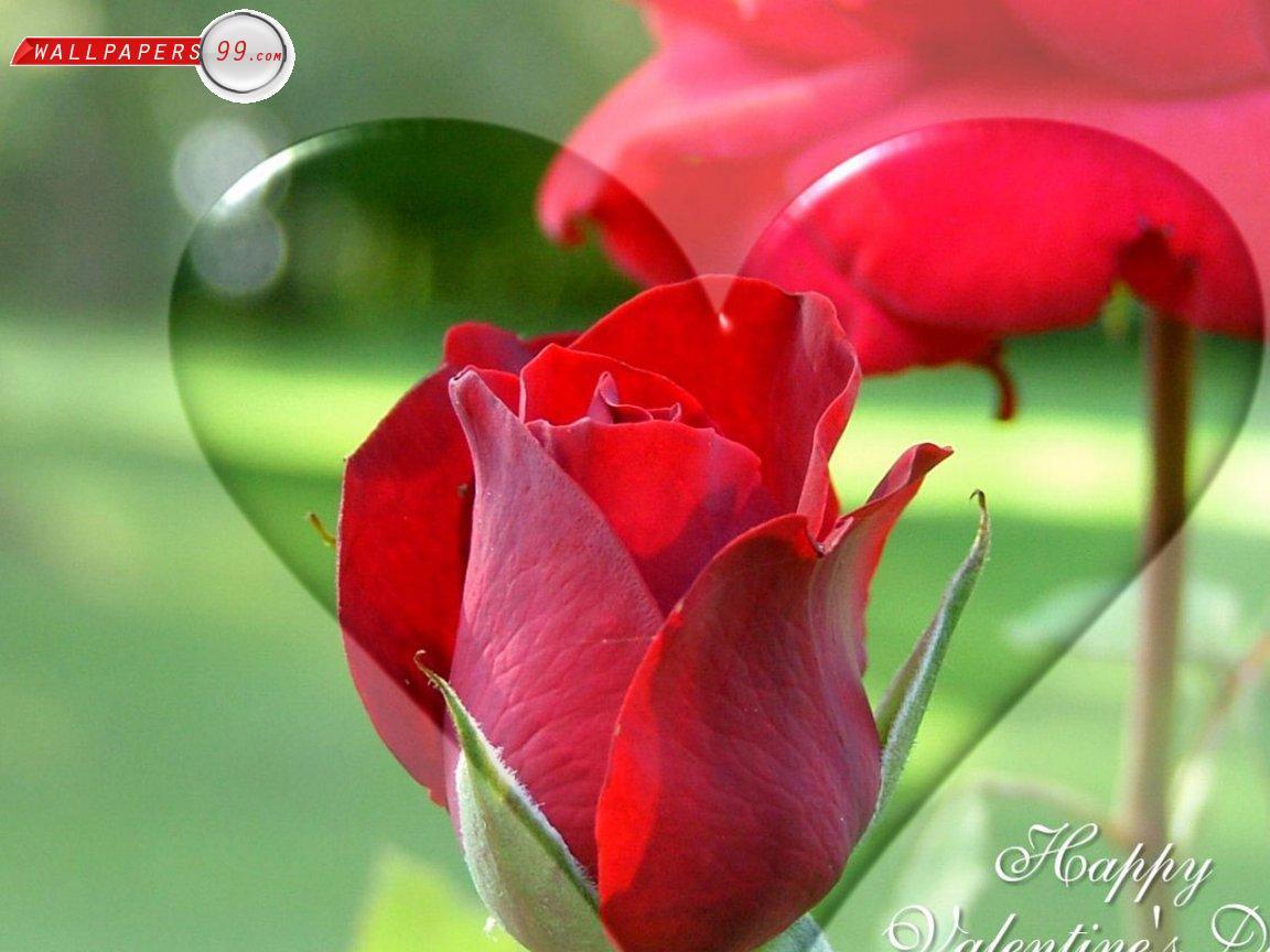 Free Valentine Wallpaper