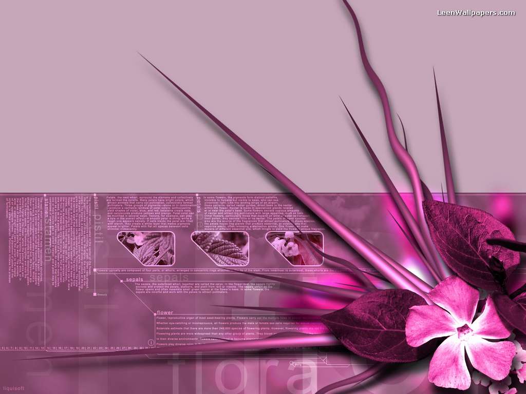 Desktop Wallpaper Free: Pink Wallpaper