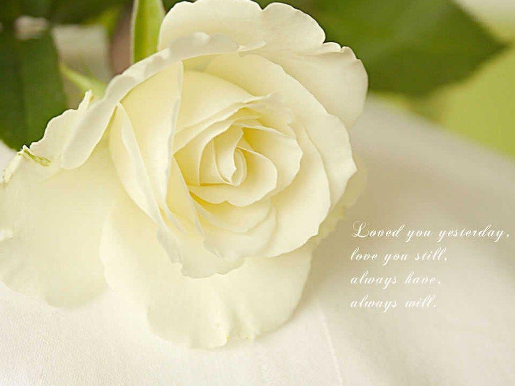 Quotes For > Love Quotes Wallpaper For Desktop