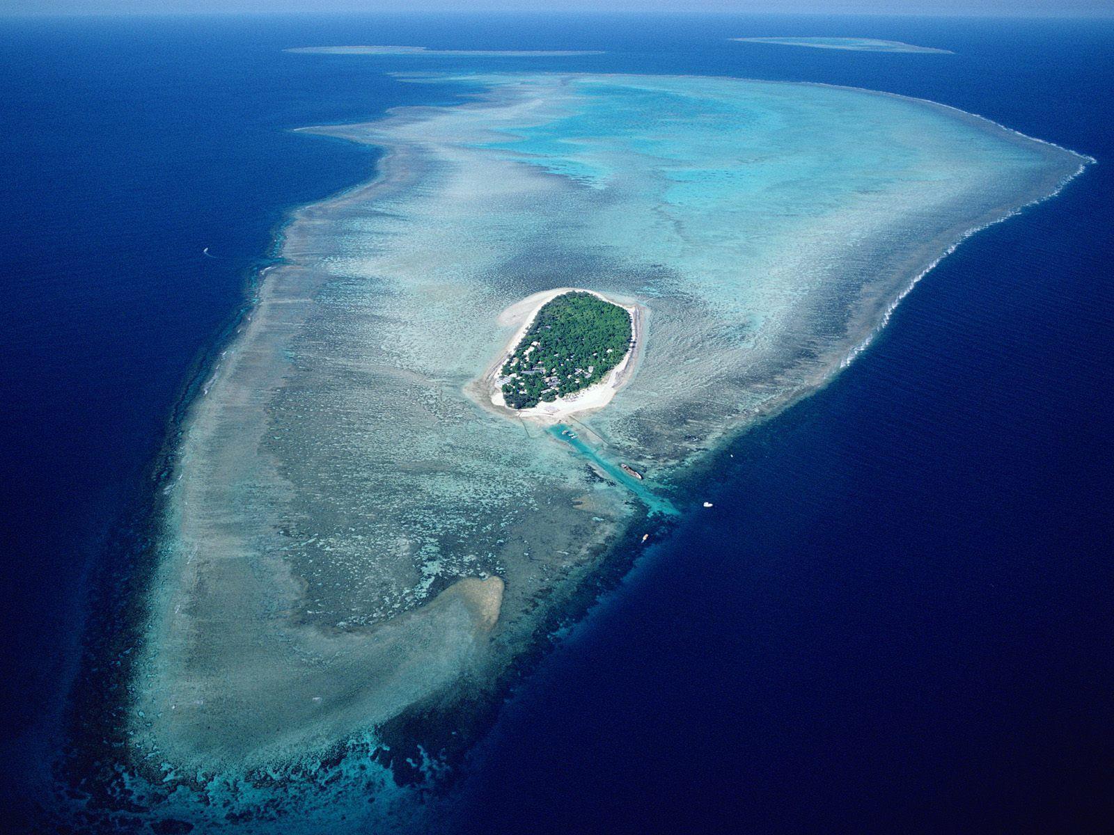 Wallpaper HD Great Barrier Reef Sharks 1600 X 1200 281 Kb Jpeg