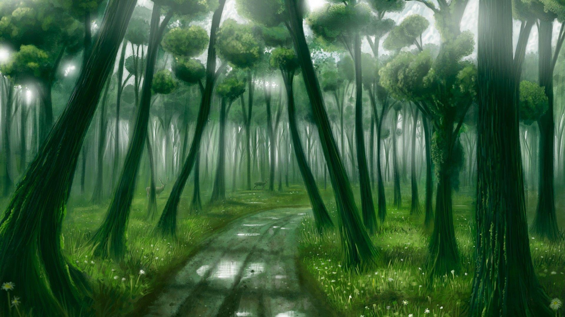 Fantasy Forest Wallpaper Desktop Wallpaper. Green HD Wallpaper