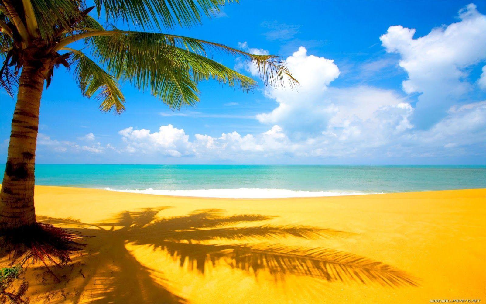 image For > Laptop Background Beach