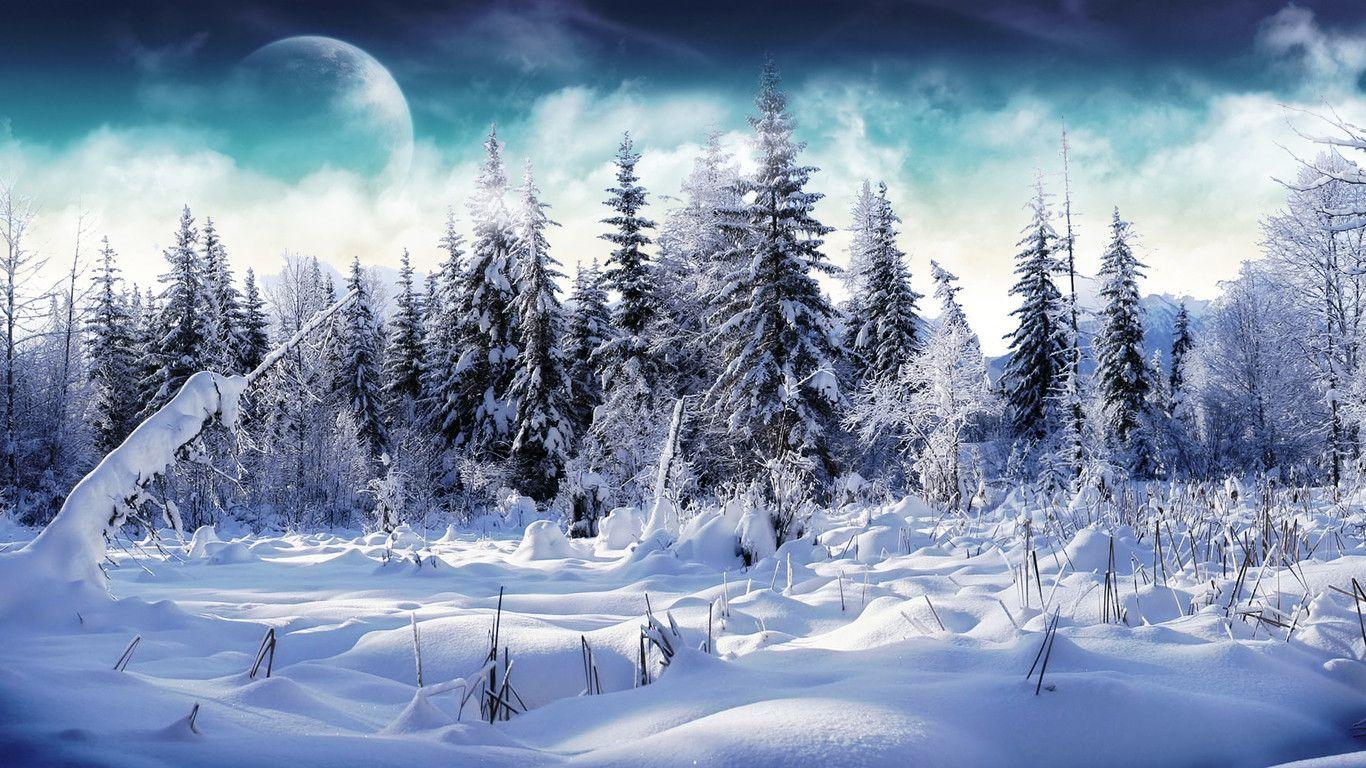 Exquisite Winter Wallpaper That Will Embellish Your Computer