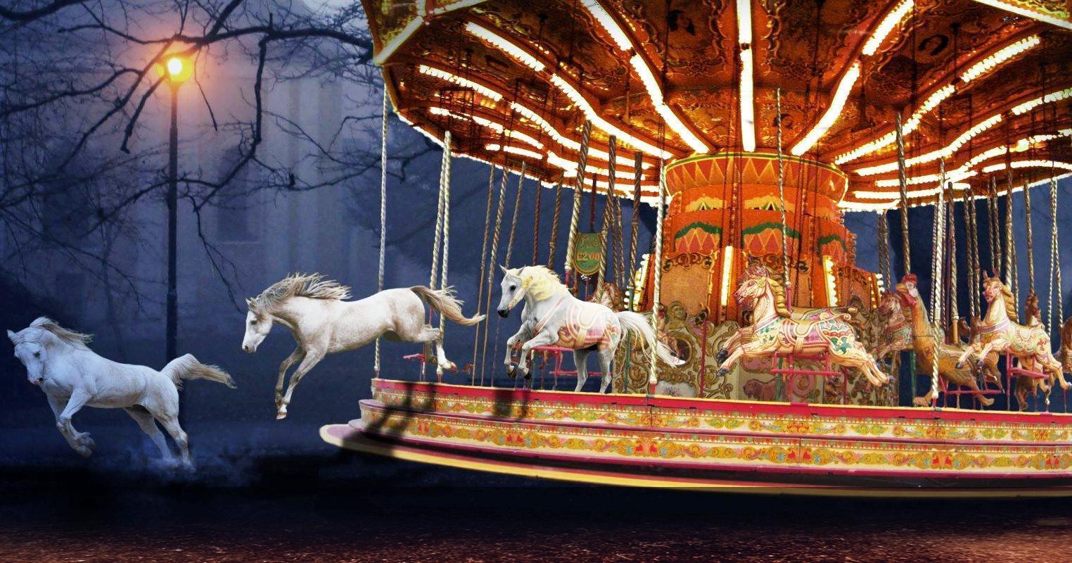 Freedom. Merry Go Round Dream Horse Light HD wallpaper #