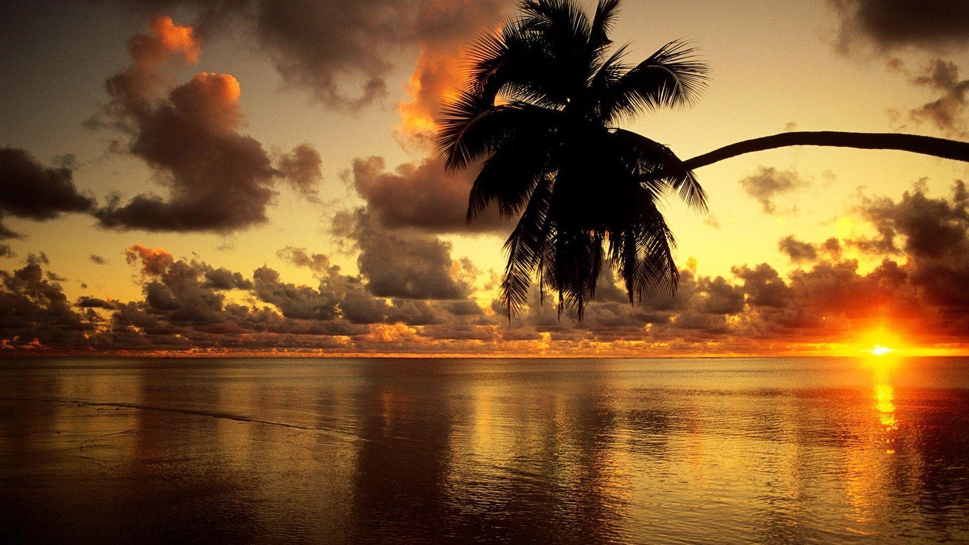 Beach Sunrise Wallpaper Desktop