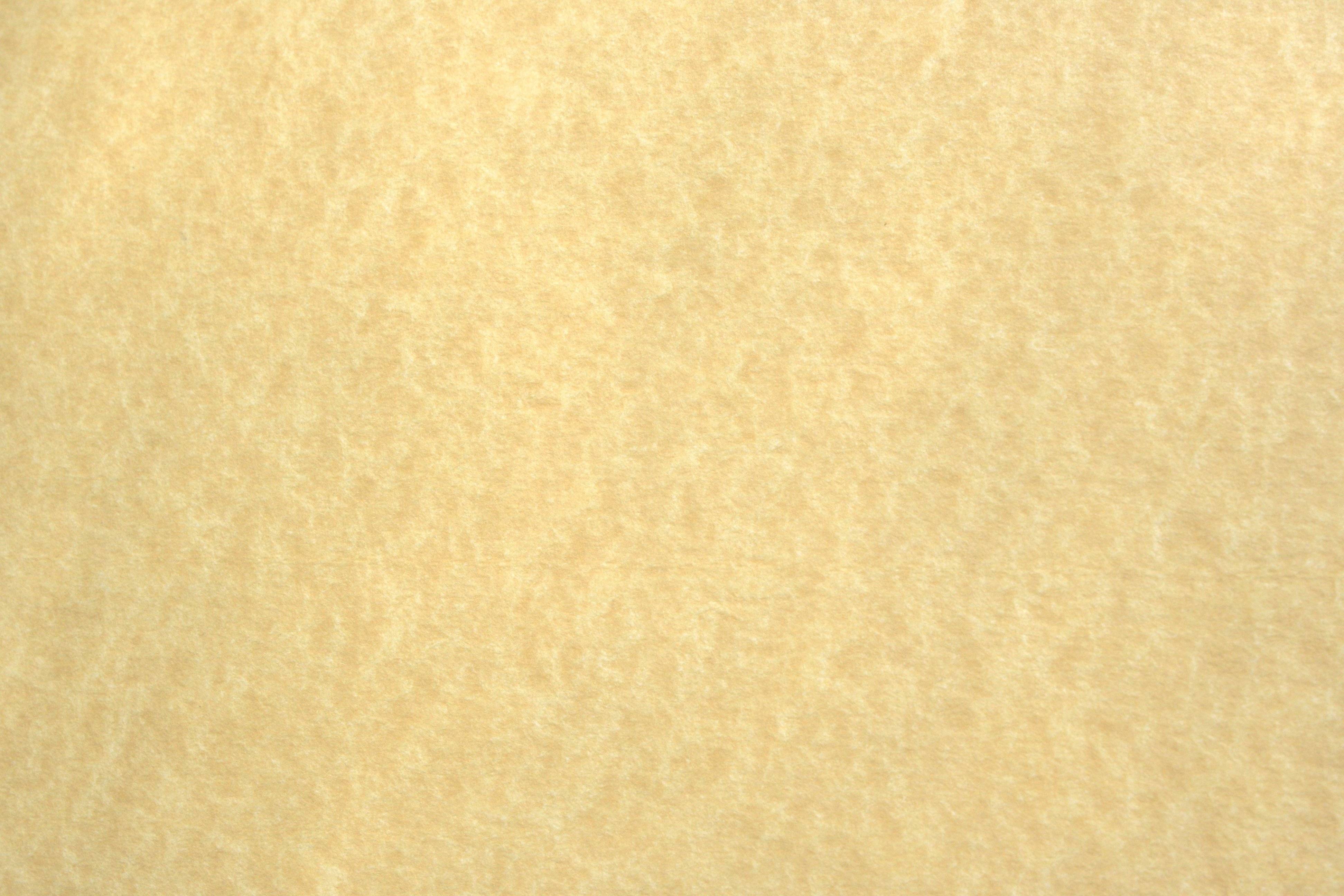 Light Colored Parchment Paper Texture Picture. Free Photograph