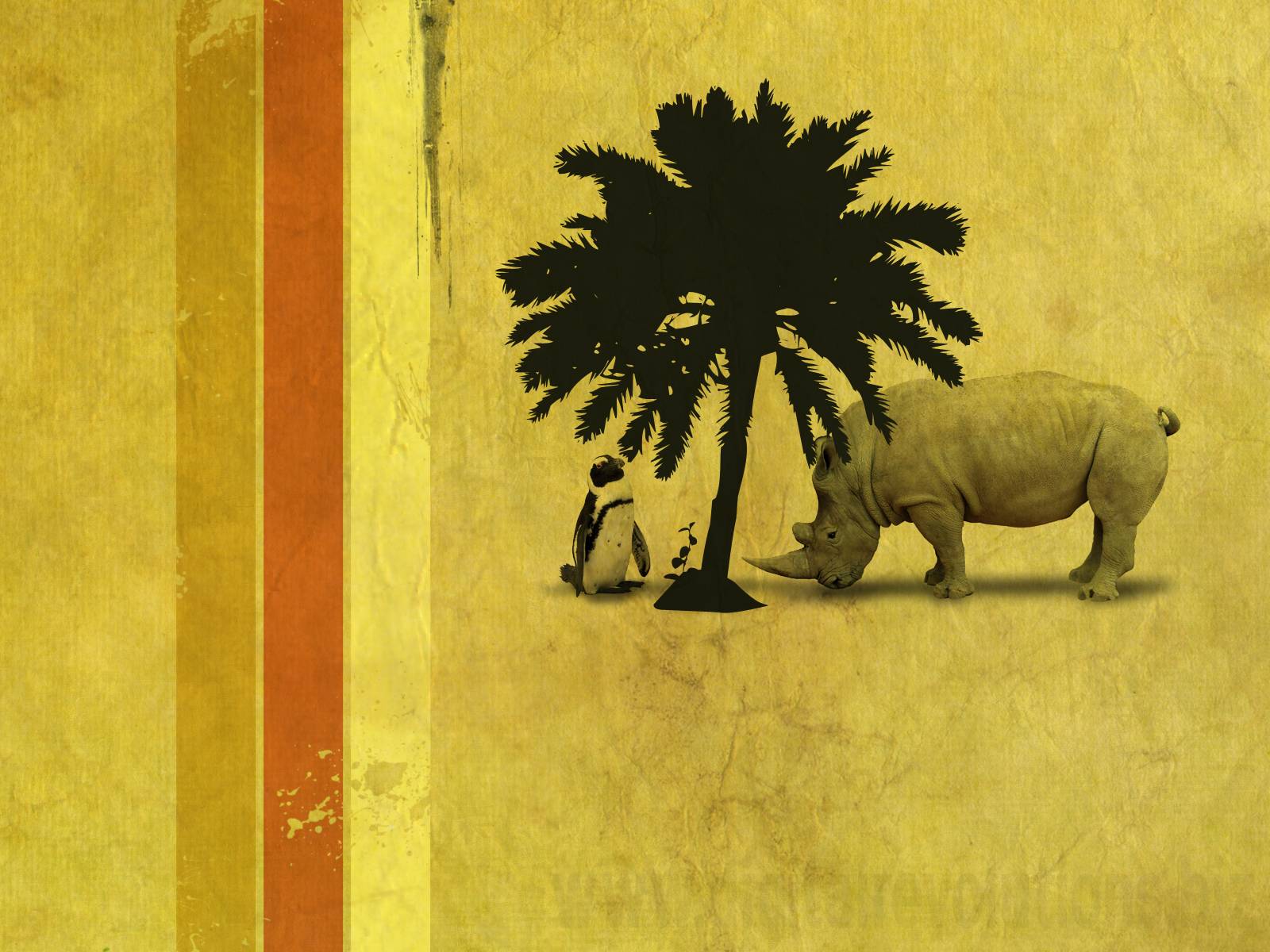 African Desert Safari Wallpaper