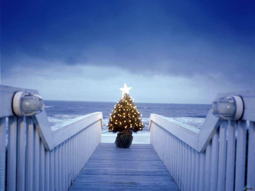 Pretty Christmas Background 27194 Wallpaper: 1024x768