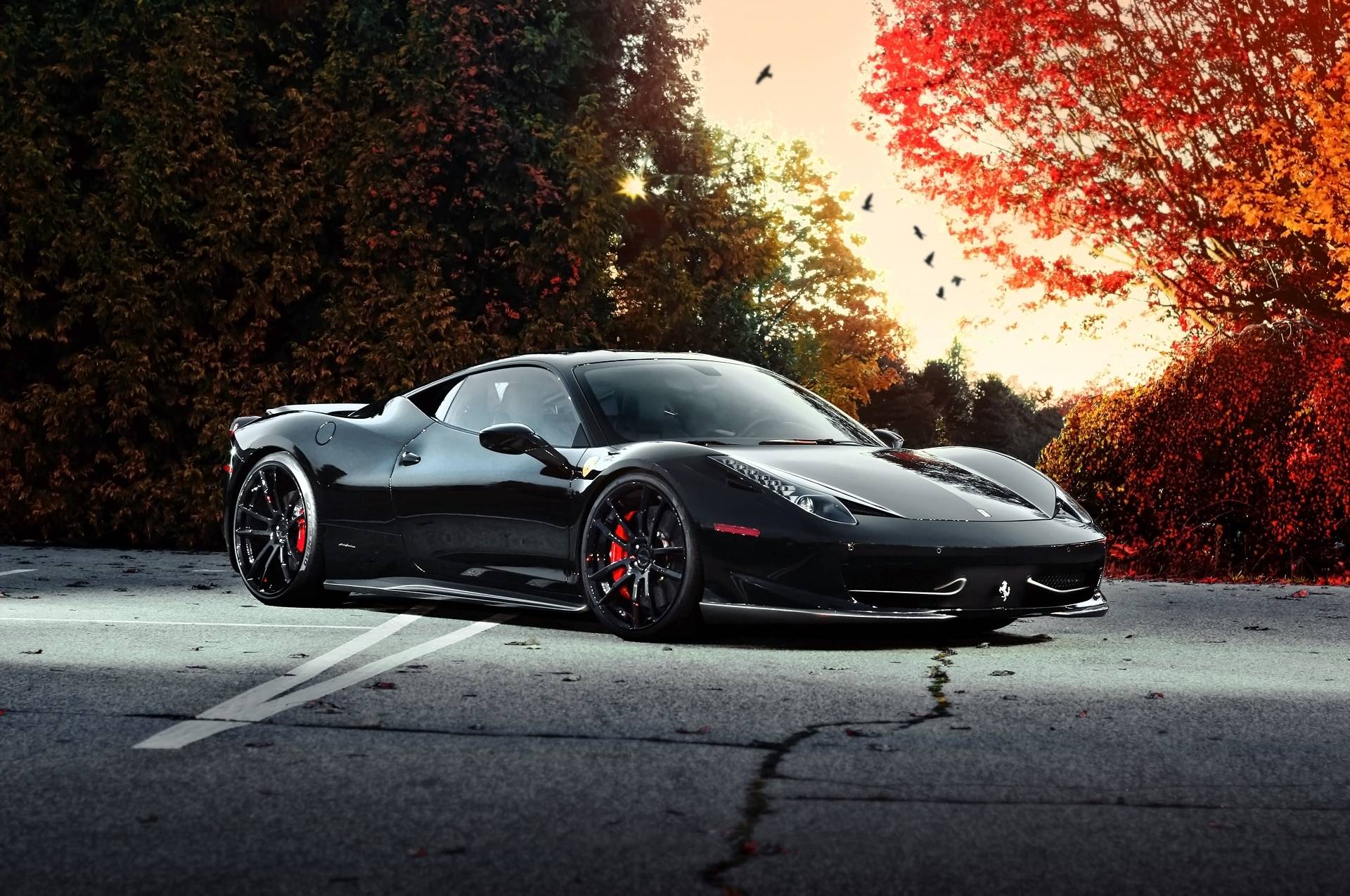 Wallpaper ferrari, 458 italia, black, autumn, trees, sky, birds
