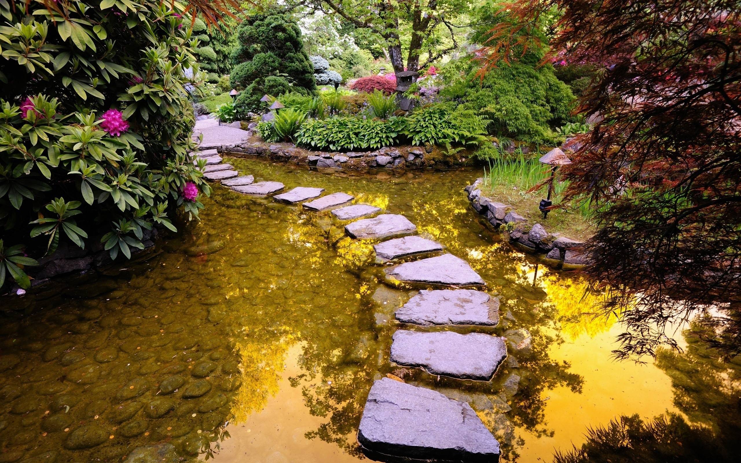 Free Path In Garden Pond Wallpaper, Free Path In Garden Pond HD