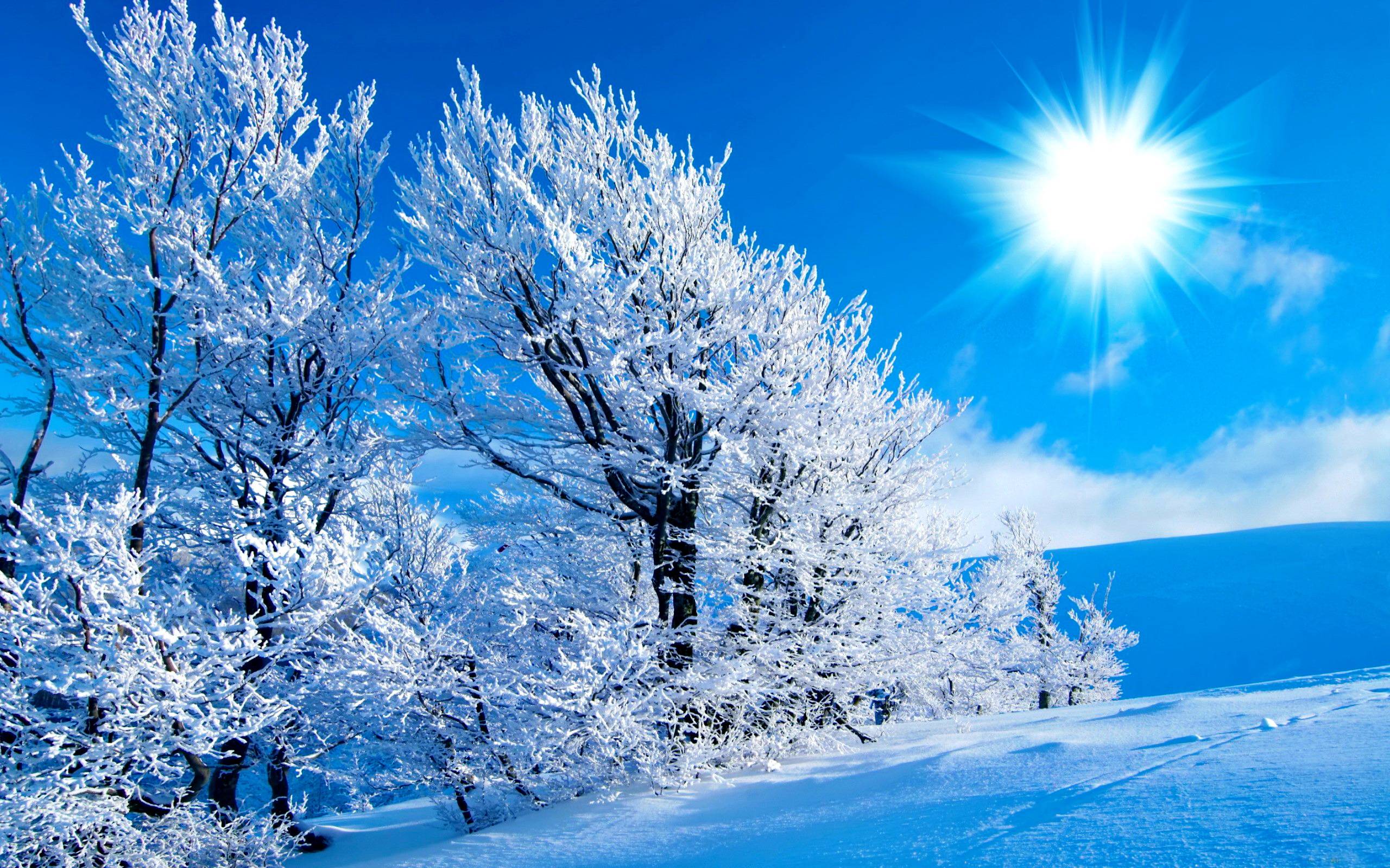 Beautiful Snow And Sun Wallpaper