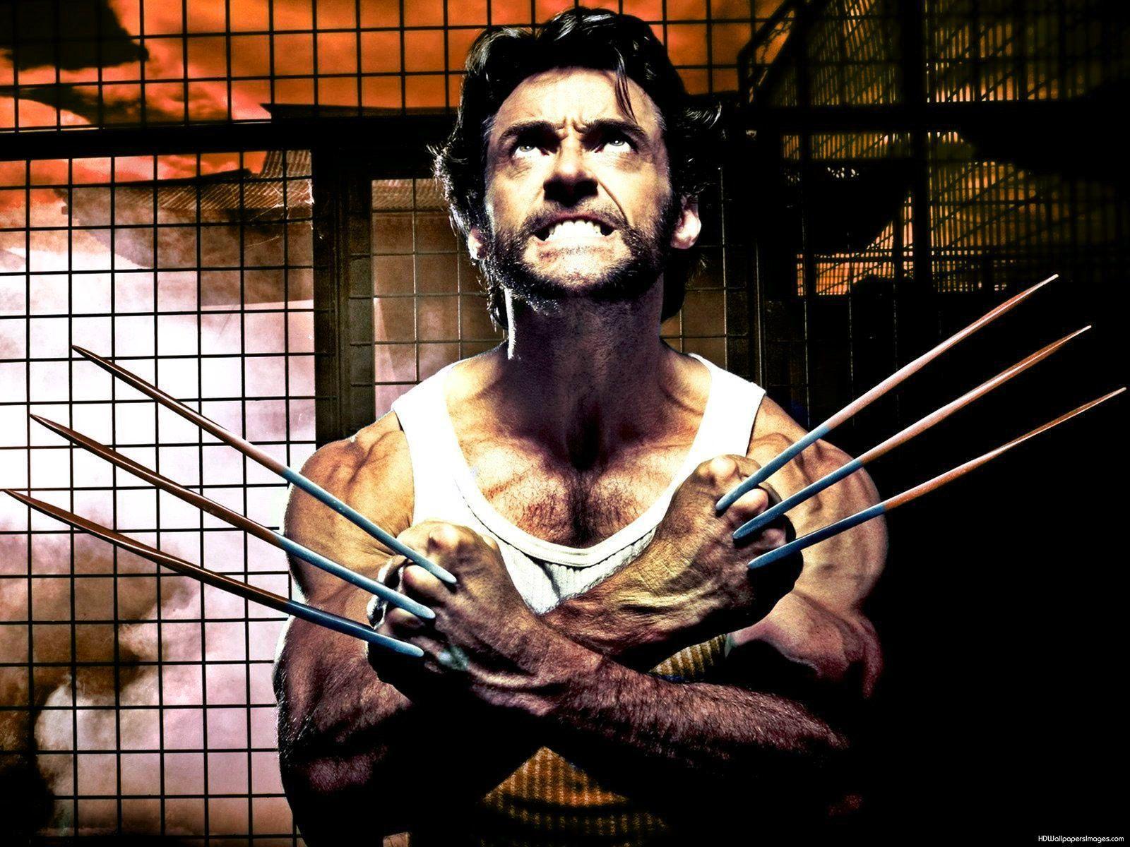 Hugh Jackman Wolverine. HD Wallpaper Image