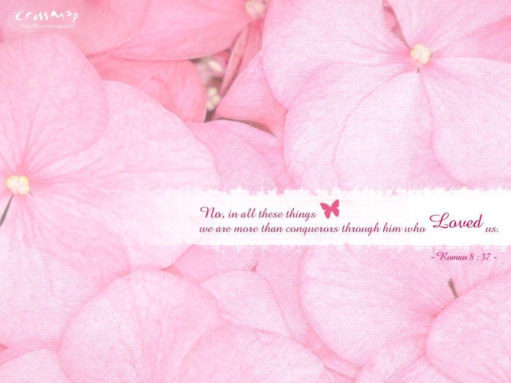 Pink Hydrangea Bible Verses Wallpaper Wallpaper 15436