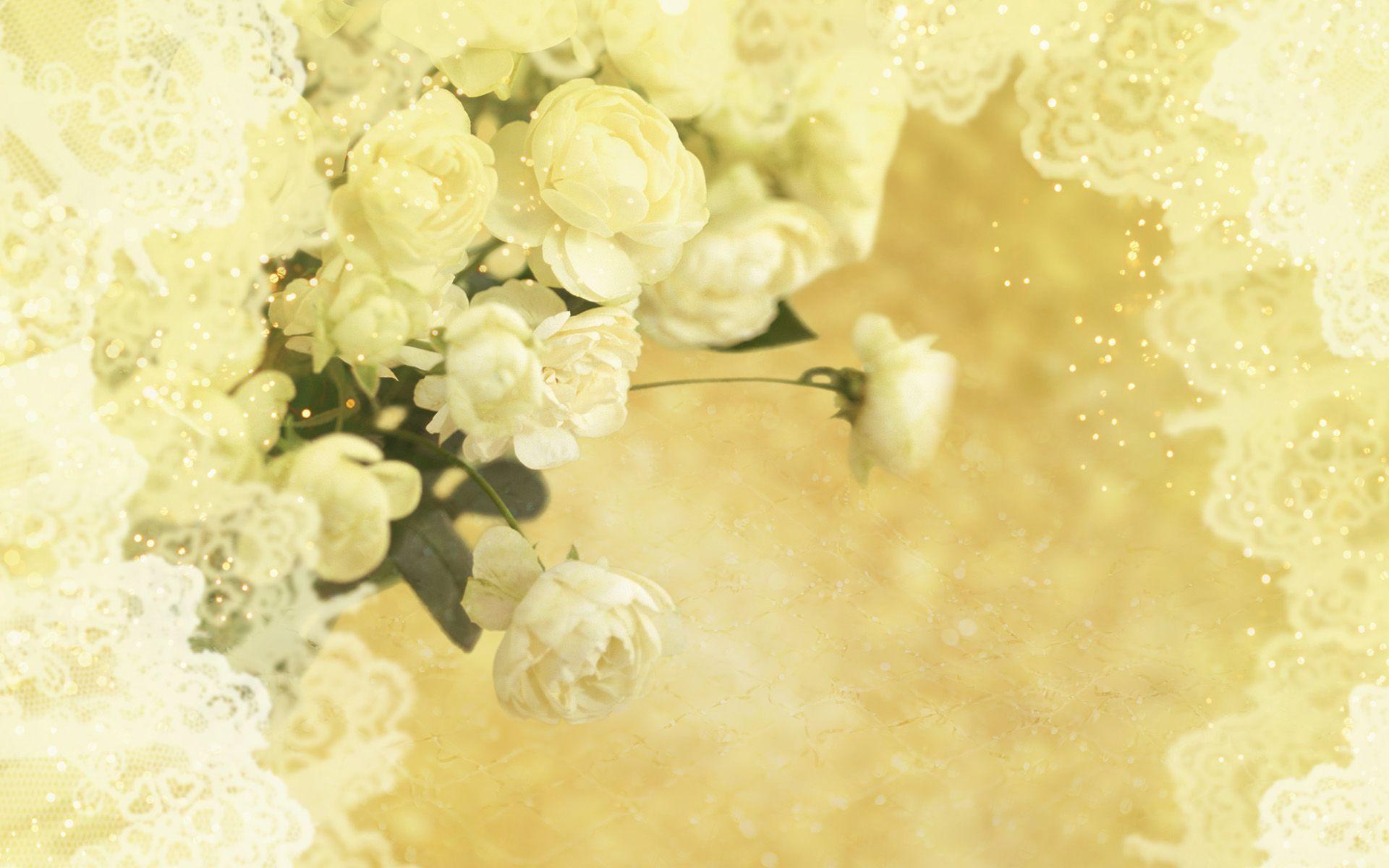 White Wedding Flowers P Oshoot HD Wallpaper