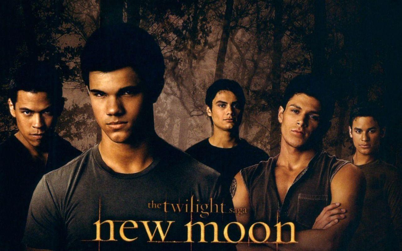 Dreamscene Video Wallpaper. wallaadoo