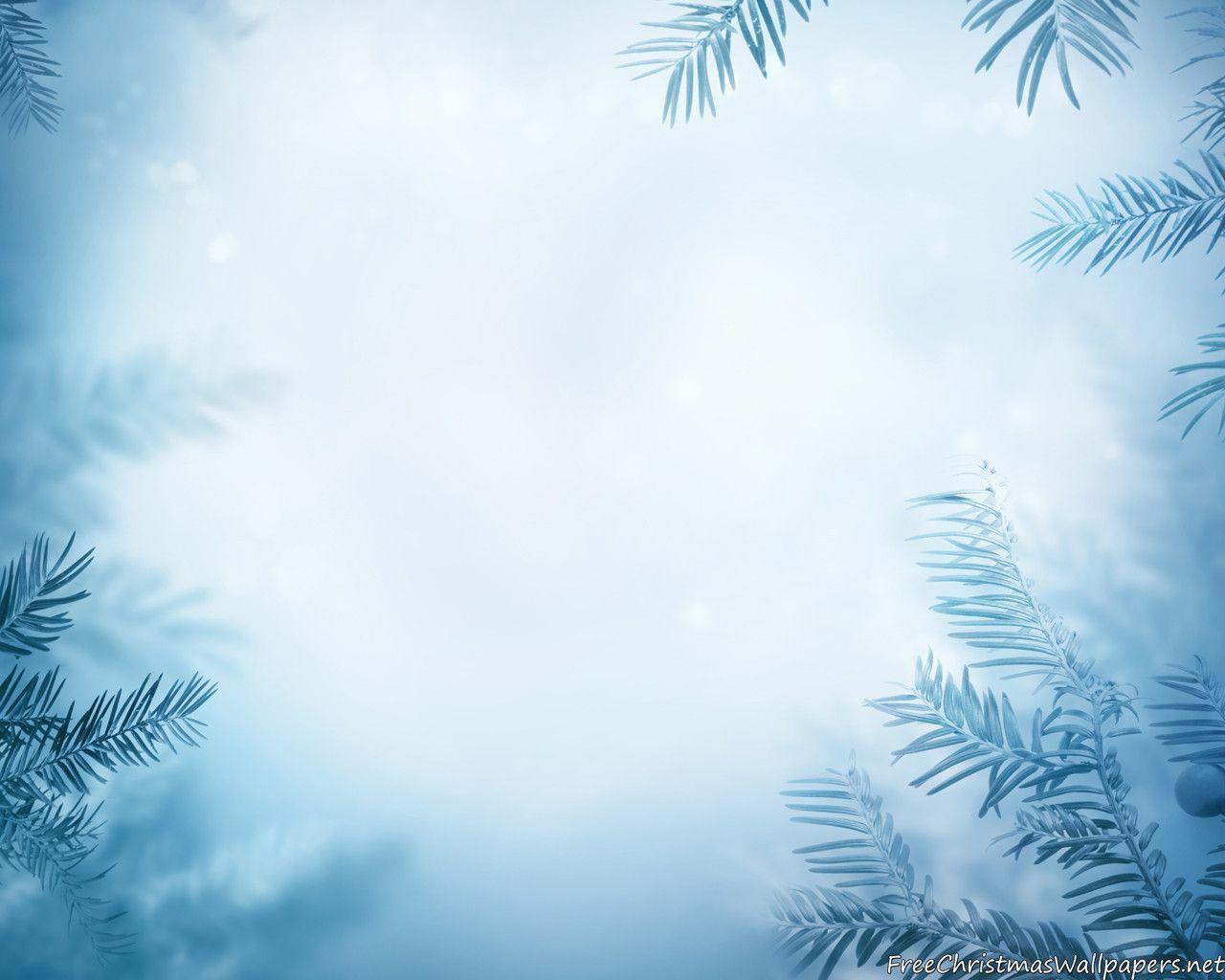 Winter Background with Frozen Trees Wallpaper