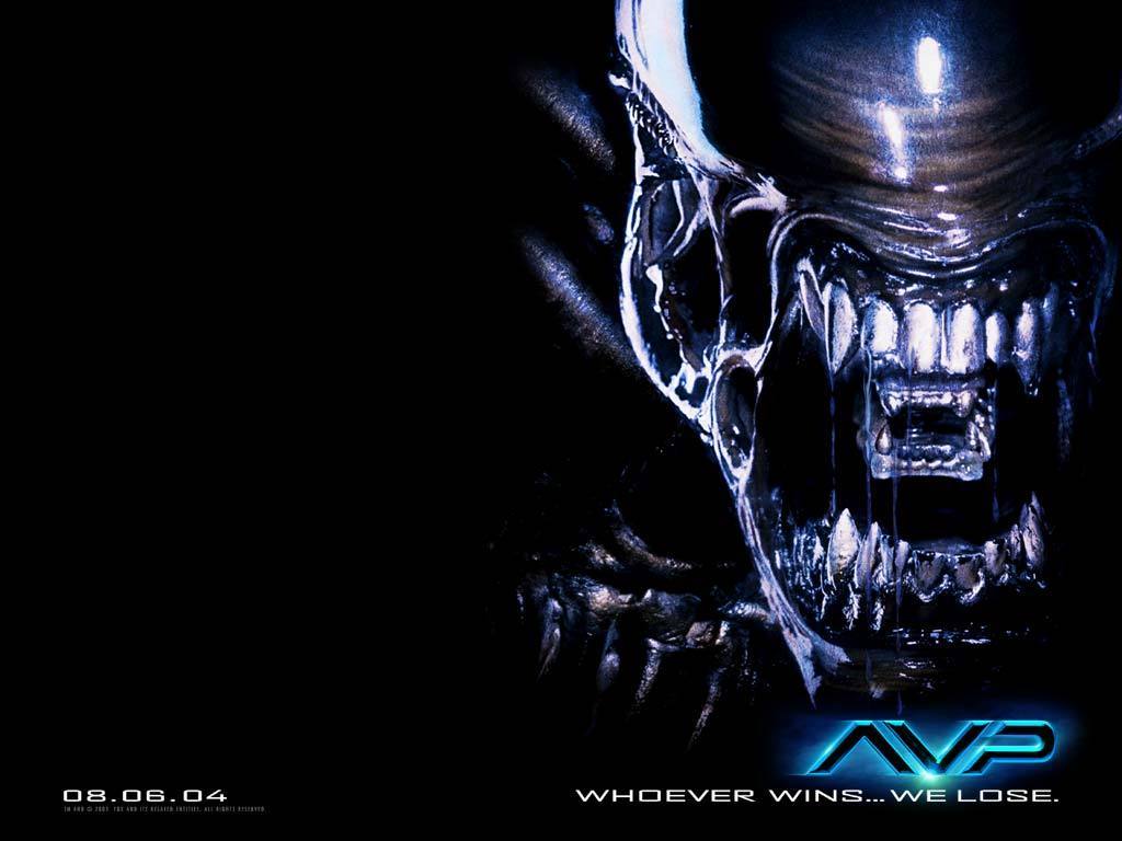 The Alien Films image AVP Wallpaper HD wallpaper and background